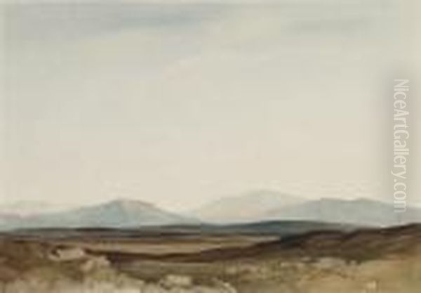 Moorland, Cross Fell, Cumberland - view 1