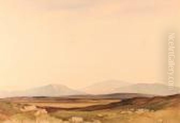 Landscape With Sheep Grazing - view 1