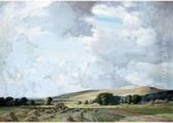 The Sussex Downs - view 1