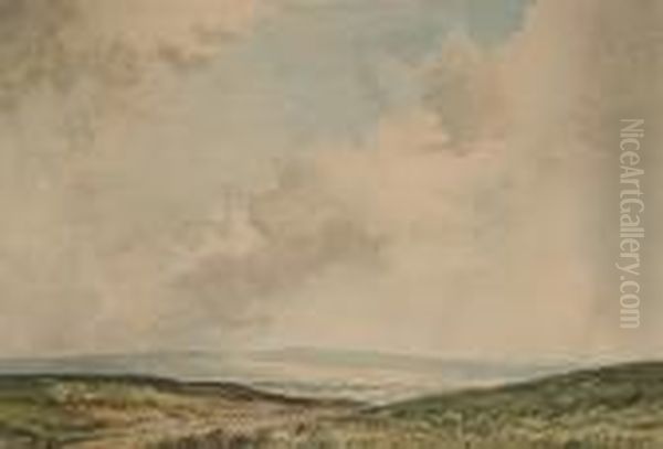 Moorland With Sheep - view 1
