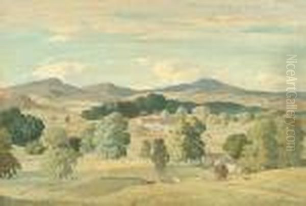 The Hayfield - view 1