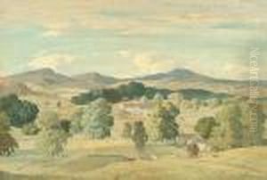 The Hayfield
