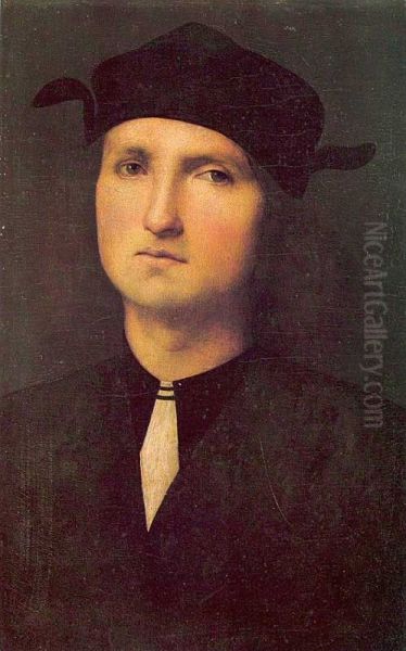 Portrait Of A Young Man 1495 1500 - view 1