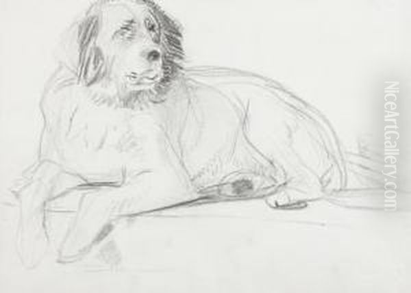 A Distinguished Member Of The Humane Society - view 1