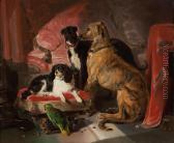 Hector, Nero And Dash With The Parrot, Lory - view 1
