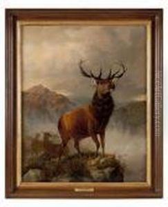 Monarch Of The Glen