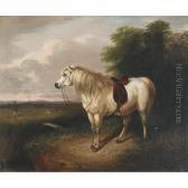 The Hunter""""s White Highland Pony - view 1