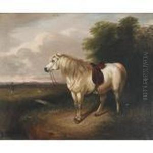 The Hunter""""s White Highland Pony