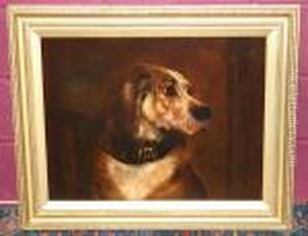 Study Of A Dogs Head - view 1