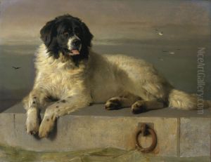 "a Distinguished Member Of The Humane Society" by Sir Edwin Henry Landseer
