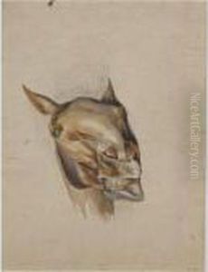 Studies Of The Head Of A Horse by Sir Edwin Henry Landseer