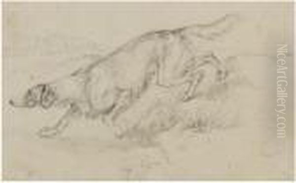 Animal Studies - view 1