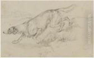 Animal Studies