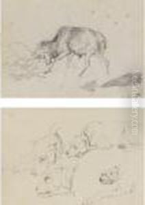 Studies Of A Terrier And Study Of A Stag Fighting