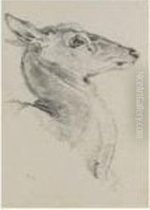 A Study For A Head Of A Deer For The Chevy Chase by Sir Edwin Henry Landseer
