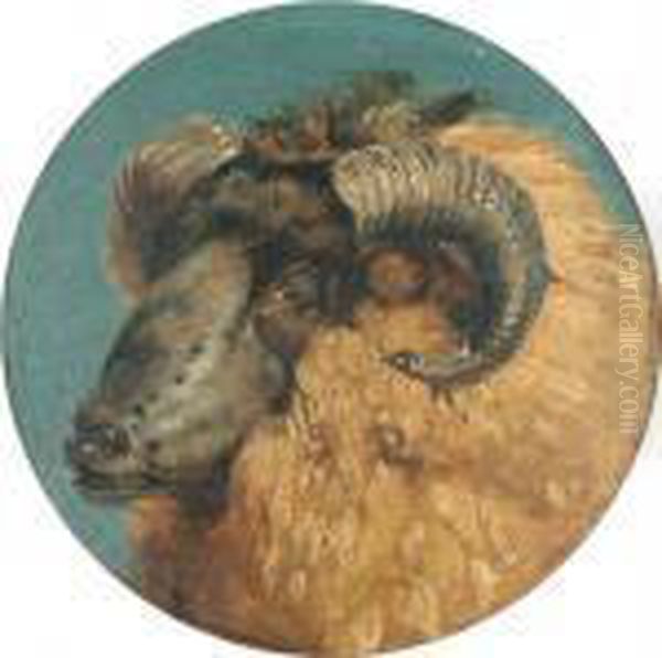 The Abbotsford Ram - view 1