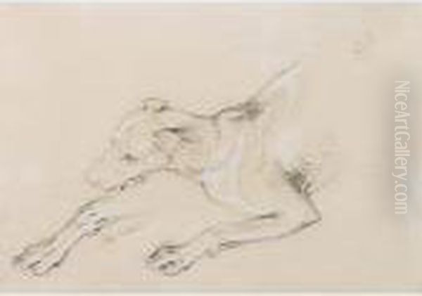 Study Of A Wolf Hound - view 1