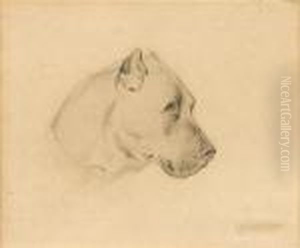Portrait Of A Dog - view 1