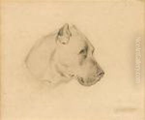 Portrait Of A Dog by Sir Edwin Henry Landseer