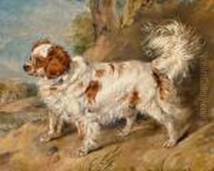 A Dog Of The Marlborough Breed by Sir Edwin Henry Landseer