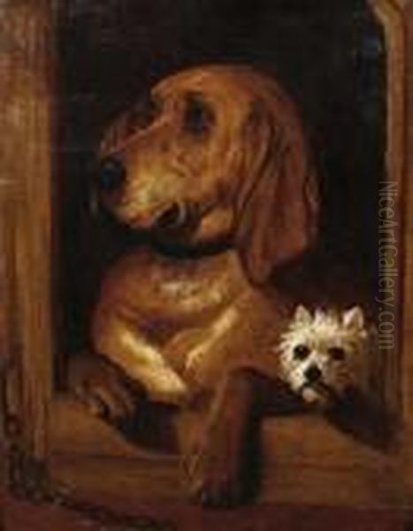 Dignity And Impudence - view 1
