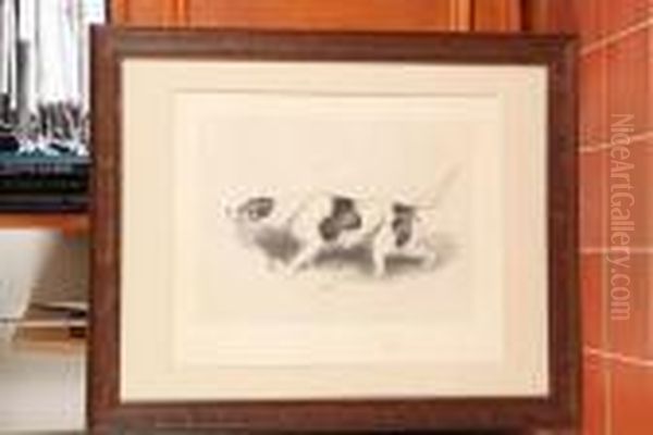Study Of A Pointer - view 1