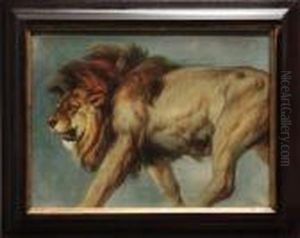 Study Of A Lion by Sir Edwin Henry Landseer