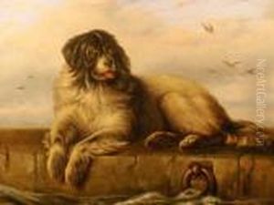 A Study Of A St Bernard On Quayside