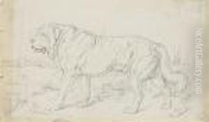 Study Of A St. Bernard Dog by Sir Edwin Henry Landseer