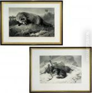 Not Caught Yet by Sir Edwin Henry Landseer