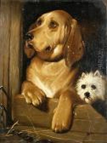 Dignity And Impudence - view 1