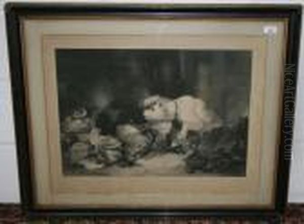 Dog And Cat Fighting Over Dead Game - view 1