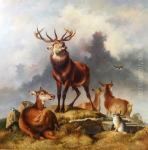 Oil On Canvas