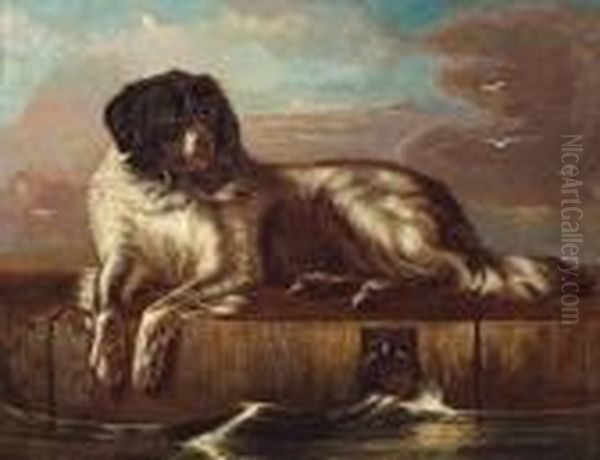 A Distinguished Member Of The Humane Society - view 1