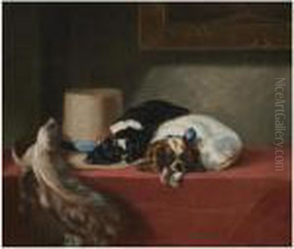 Two King Charles Spaniels - view 1