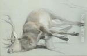 Study Of A Stag With A Subsidiary Study Of The Right Hind Leg by Sir Edwin Henry Landseer