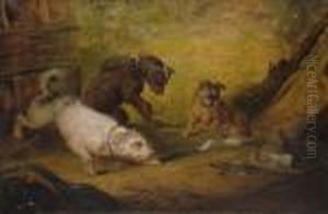 Rat Catchers by Sir Edwin Henry Landseer