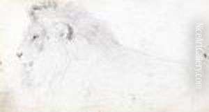 Study Of A Lion (recto); And Study Of A Bull (verso) by Sir Edwin Henry Landseer