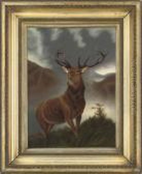The Monarch Of The Glen - view 1