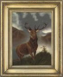 The Monarch Of The Glen
