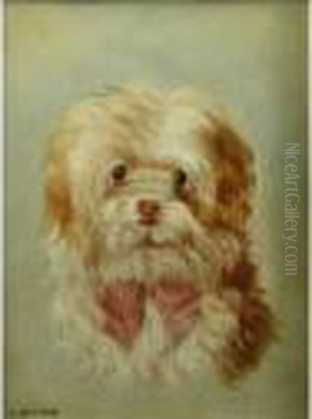 Portrait Of A Small Dog - view 1