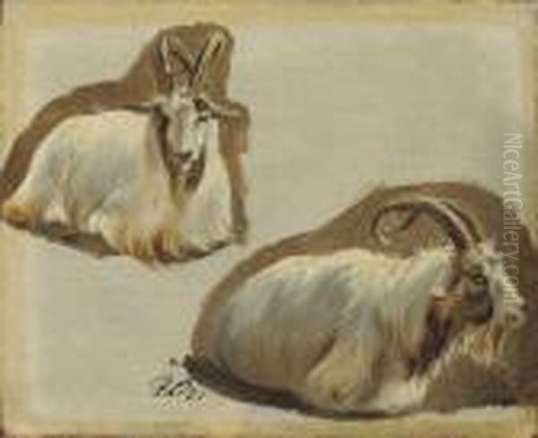 Studies Of Ibex - view 1