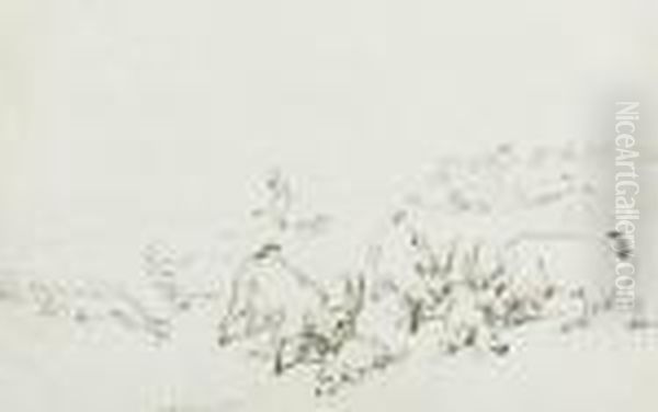 Chillingham Deer Hunt - view 1