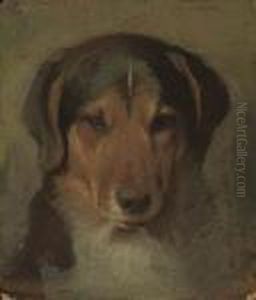 A Faithful Friend