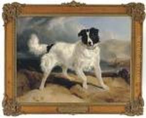 Neptune, The Property Of W. Ellis Gosling, Esq. Neptune, The Property Of W. Ellis Gosling, Esq.