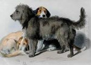 Pair Of Works: The Three Dogs And Sleeping Bloodhound by Sir Edwin Henry Landseer