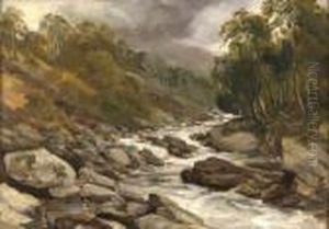 The Brewing Storm