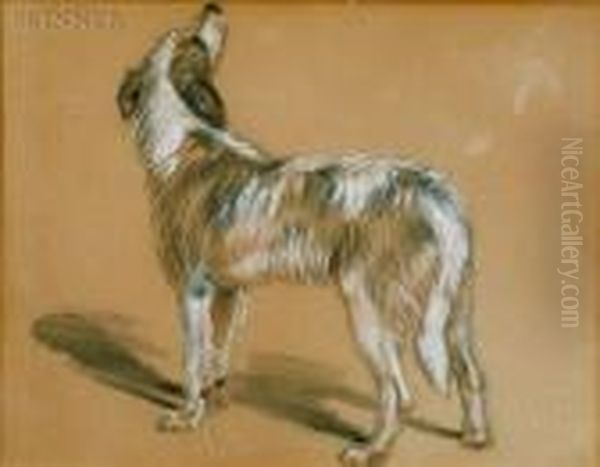 Sketch Of A Dog - view 1