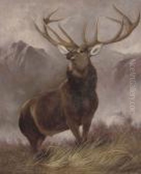The Monarch Of The Glen - view 1