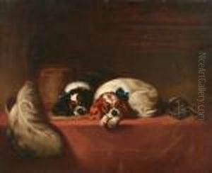 Two Cavalier King Charles Spaniels